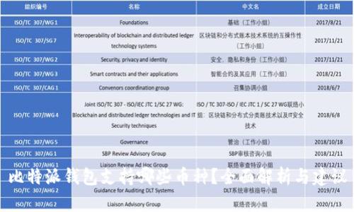 比特派钱包支持哪些币种？全面解析与建议