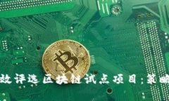 如何有效评选区块链试点