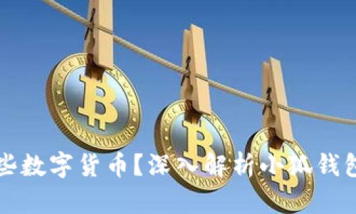 小狐钱包支持哪些数字货币？深入解析小狐钱包的资产管理功能