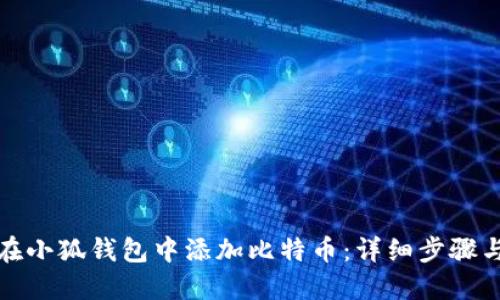 如何在小狐钱包中添加比特币：详细步骤与技巧