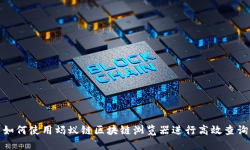 如何使用蚂蚁链区块链浏览器进行高效查询