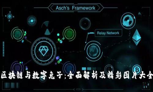 区块链与数字兔子：全面解析及精彩图片大全