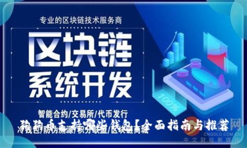 狗狗币支持哪些钱包？全面指南与推荐