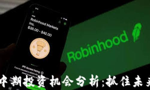 
区块链中期投资机会分析：抓住未来的潜力
