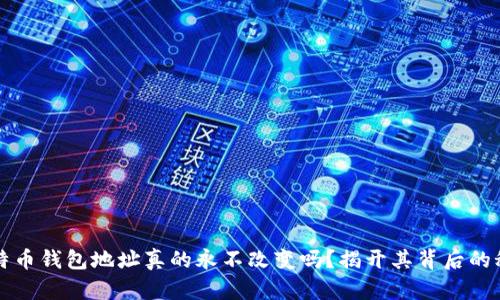 比特币钱包地址真的永不改变吗？揭开其背后的秘密
