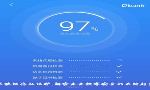 区块链隐私保护：解密未来数字安全的关键趋势