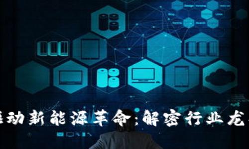 中国区块链驱动新能源革命：解密行业龙头企业的崛起