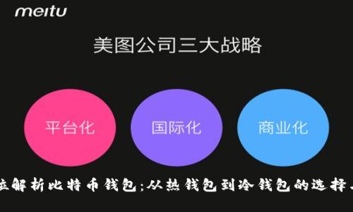 全方位解析比特币钱包：从热钱包到冷钱包的选择与使用