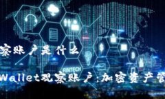 tpWallet观察账户是什么全面