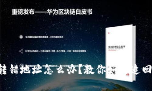 tpWallet转错地址怎么办？教你如何追回数字资产！