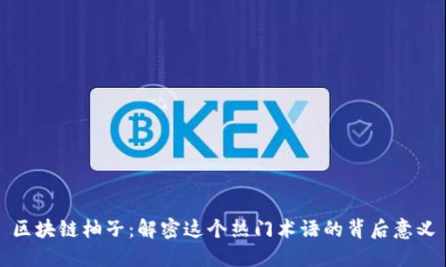区块链柚子：解密这个热门术语的背后意义