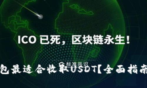 哪种钱包最适合收取USDT？全面指南与推荐