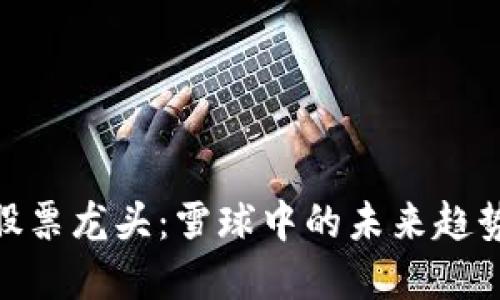 探秘区块链股票龙头：雪球中的未来趋势与投资机遇