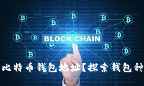 如何快速获取比特币钱包地址？探索钱包种类与使用技巧