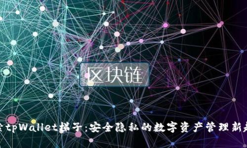 探索tpWallet梯子：安全隐私的数字资产管理新趋势