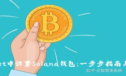 如何在tpWallet中设置Solana钱包：一步步指南与常见问题解答