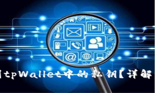 如何安全地找到tpWallet中的私钥？详解步骤与注意事项