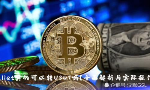 tpWallet真的可以转USDT吗？全面解析与实际操作指南