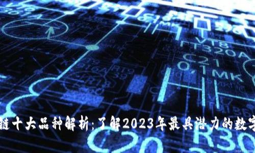 区块链十大品种解析：了解2023年最具潜力的数字资产