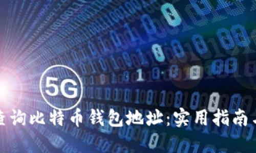 如何查询比特币钱包地址：实用指南与技巧