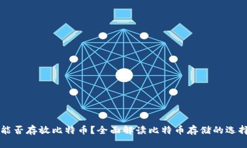 Tokenim：能否存放比特币？全面解读比特币存储的选择与安全性