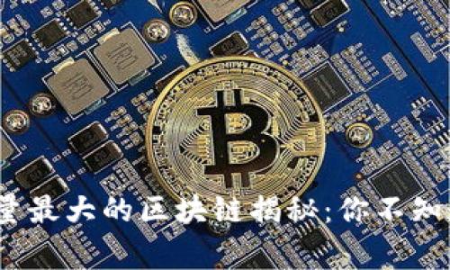 2023年发行量最大的区块链揭秘：你不知道的背后故事
