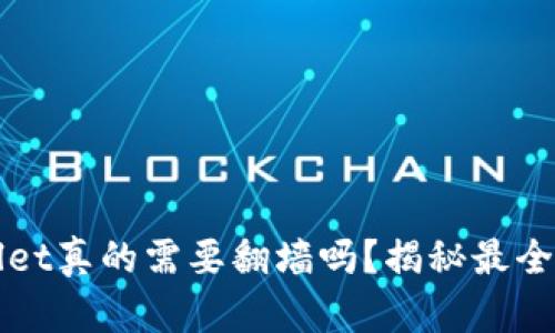 玩tpWallet真的需要翻墙吗？揭秘最全使用指南