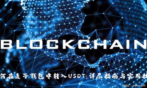 如何在麦子钱包中转入USDT：详尽指南与实用技巧