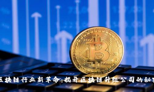 区块链行业新革命：揭开区块链升级公司的秘密