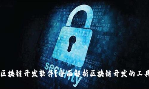 什么是区块链开发软件？全面解析区块链开发的工具与平台