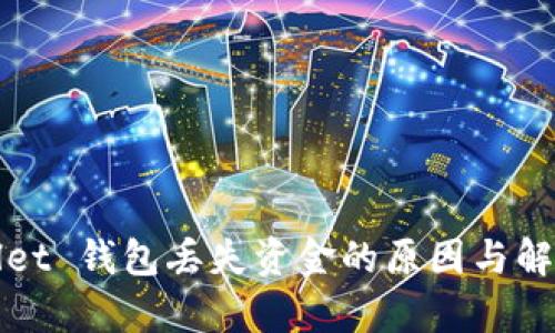 tpWallet 钱包丢失资金的原因与解决方案