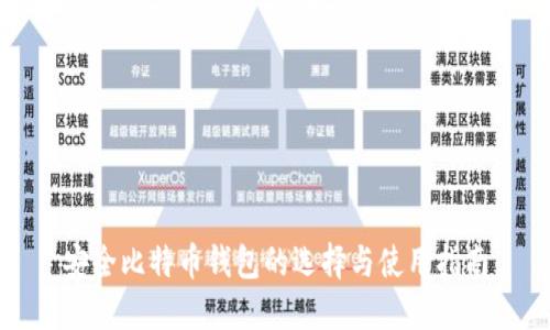 安全比特币钱包的选择与使用指南