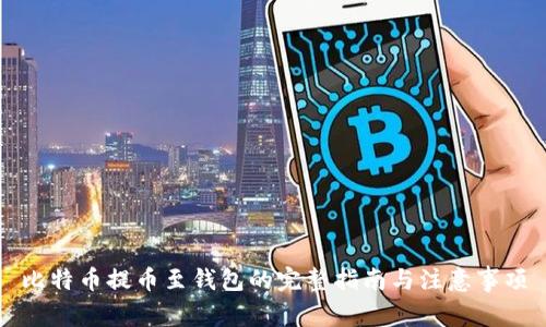 比特币提币至钱包的完整指南与注意事项