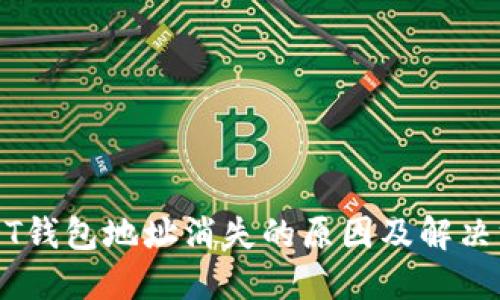 USDT钱包地址消失的原因及解决方案