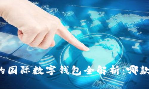 中国可用的国际数字钱包全解析：哪款最适合你？