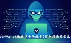 如何查询tpWallet地址中币的数量？详细指南及常见