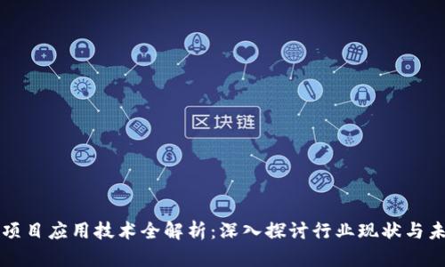 区块链项目应用技术全解析：深入探讨行业现状与未来发展