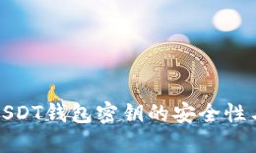 深入了解USDT钱包密钥的安全性与管理策略