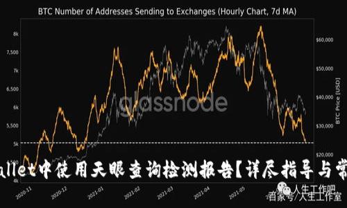 如何在tpWallet中使用天眼查询检测报告？详尽指导与常见问题解答