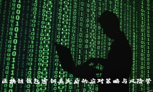 : 区块链钱包密钥丢失后的应对策略与风险管理