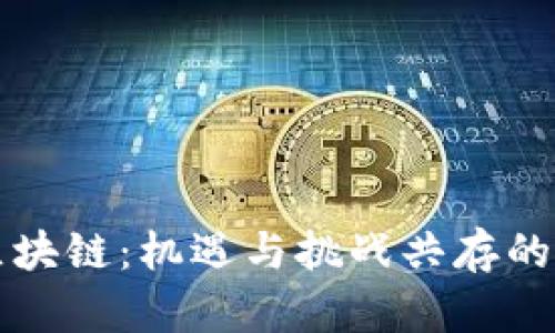 非洲与区块链：机遇与挑战共存的未来发展