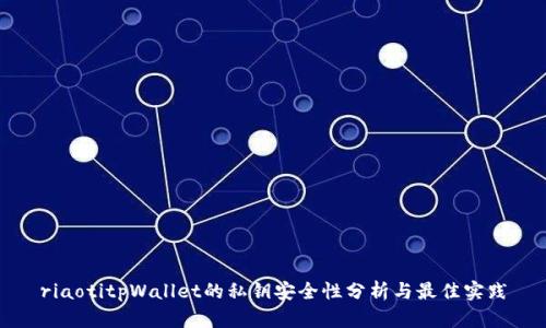 riaotitpWallet的私钥安全性分析与最佳实践