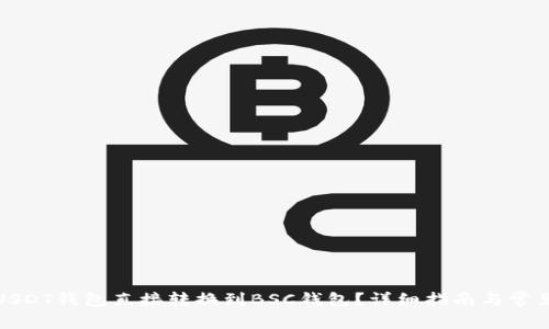 : 如何将USDT钱包直接转换到BSC钱包？详细指南与常见问题解析