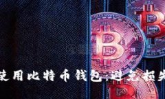 : 如何安全使用比特币钱包：避免损失的全面指南