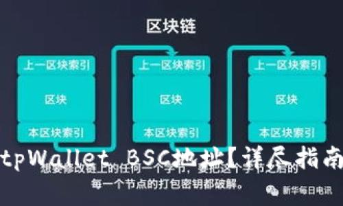 如何找到和使用tpWallet BSC地址？详尽指南与常见问题解答