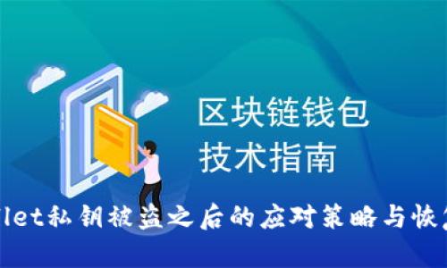 tpWallet私钥被盗之后的应对策略与恢复方案