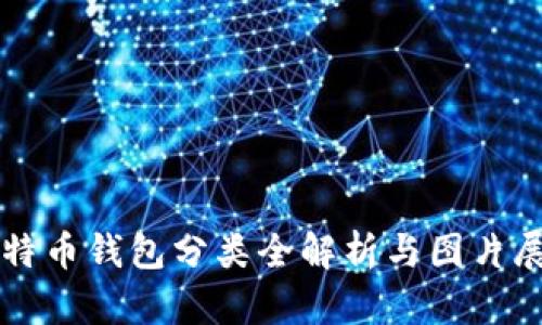 比特币钱包分类全解析与图片展示
