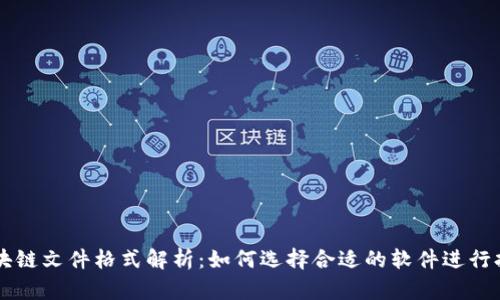 区块链文件格式解析：如何选择合适的软件进行打开