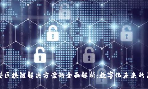 新型区块链解决方案的全面解析：数字化未来的关键