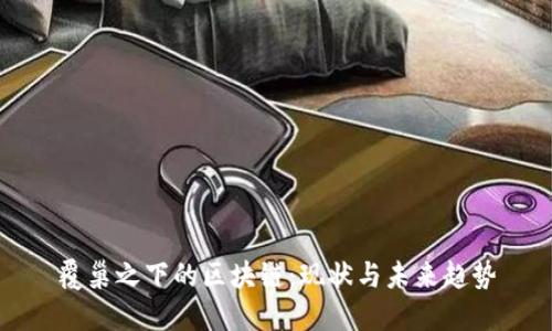 覆巢之下的区块链：现状与未来趋势